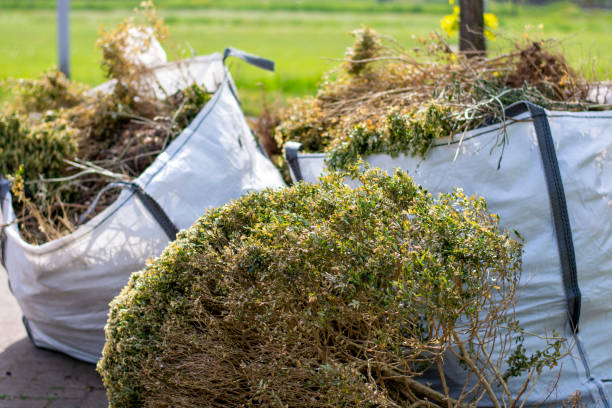 Best Shed Removal  in Fort Madison, IA